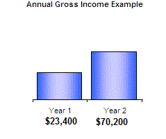 Annual Gross Income Example Chart